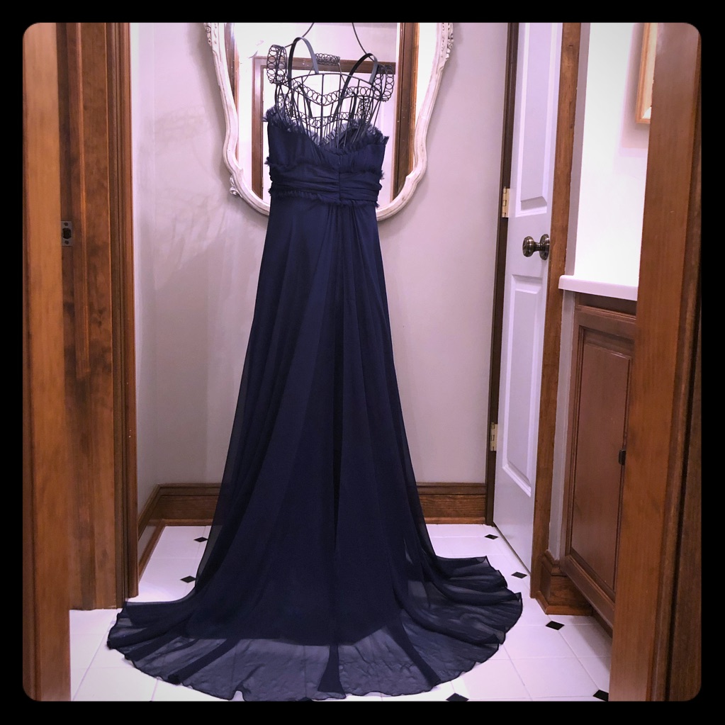 Navy Column Gown With Overlay Train
